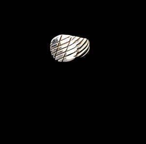 ΛΟΤ: 1 Σεβαλιέ 925 ασημένιο δαχτυλίδι και 5 ατσάλινα δαχτυλίδια