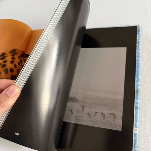 Wildlife Photographer BBC Books like new