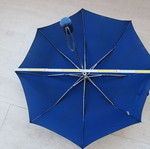 Folding umbrella, blue
