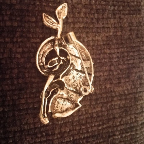 Iguana pin new