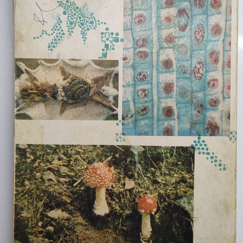 General biology lessons used, 6th grade gymnasium 1971