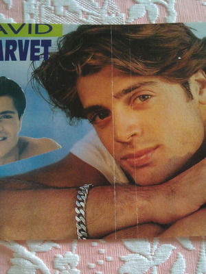Плакат Baywatch David Charvet & Sakis Rouvas, 28.8x20 см
