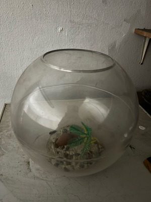 Fishbowl like new