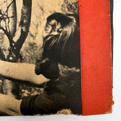 Signal magazine used, French edition April 1943
