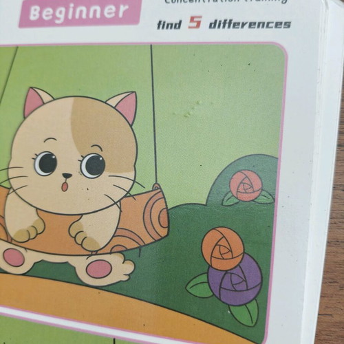 Find the Differences game used with 20 reusable cards and marker