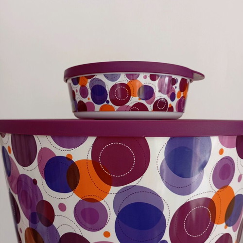 Set of 2 Collectible Artist Bowls Tupperware like new