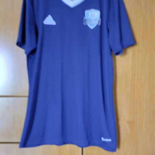 Adidas training shirt with V-neck, size L, blue