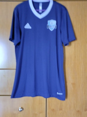 Adidas training shirt with V-neck, size L, blue