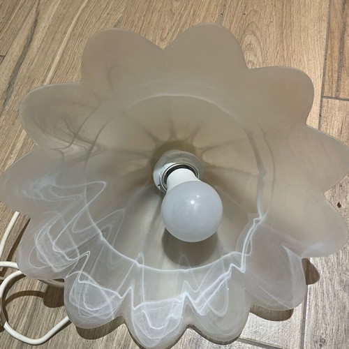 Ceiling light used, complete without any issues