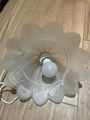 Ceiling light used, complete without any issues