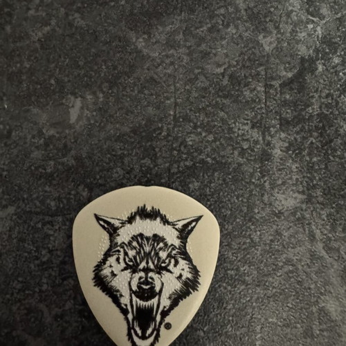 Metallica M72 tour pick James