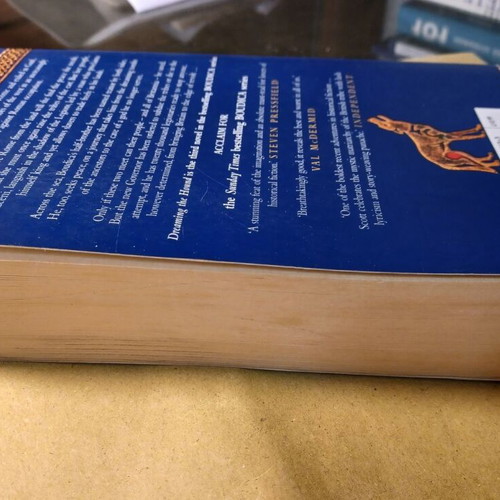 Boudica by Manda Scott like new book in English