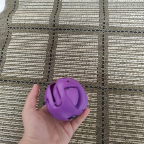Dinosaur ball toy used