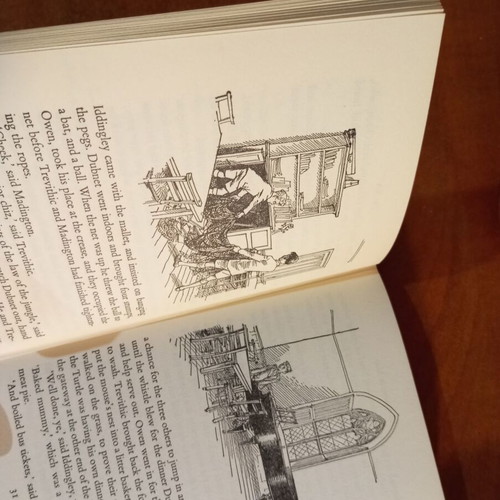 A Swarm in May by William Mayne used, English edition