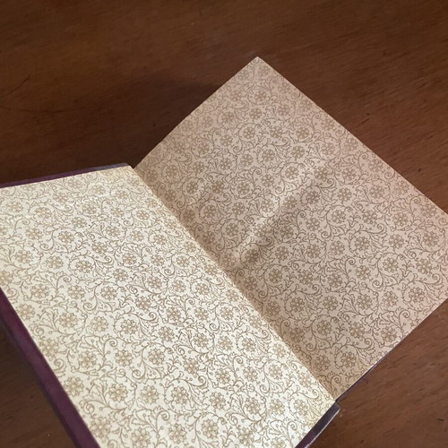 Anatole France L'Ile Des Pingouins book used, French edition 1908