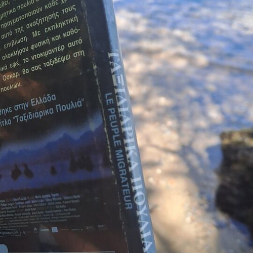 Traveling Birds DVD used, social documentary with subtitles