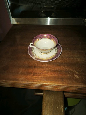 Bavarian porcelain tea cup and saucer like new