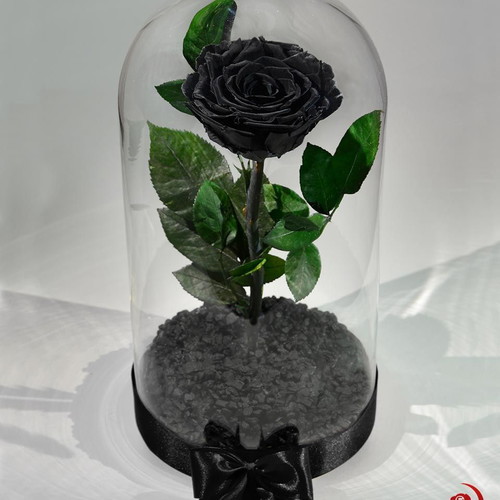 Black Eternal Rose in Large Glass Dome made to order