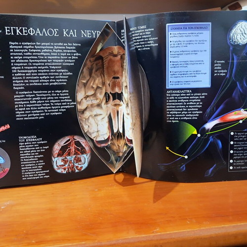 Human Body Exploration Book like new, 3D images