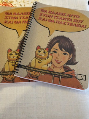 Spiral notebooks new with lines, set of 2 pieces