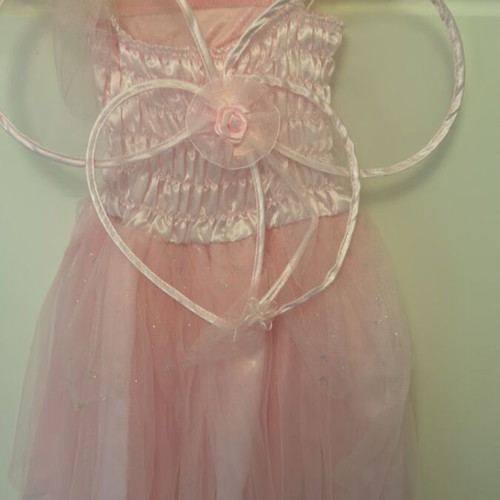 Fairy carnival costume 2-3 years like new