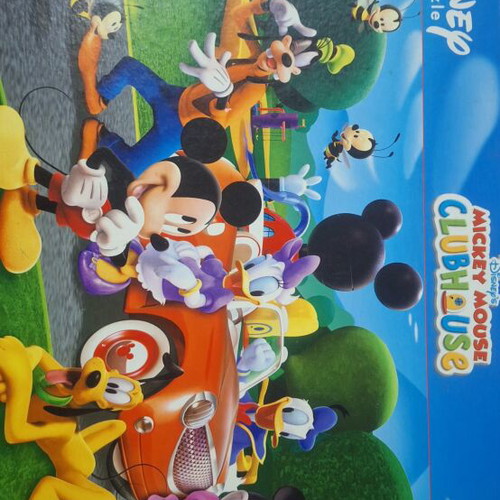 Puzzle 250 pieces like new