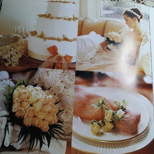 Alexia Alexiadou Cookbook like new, 250 pages