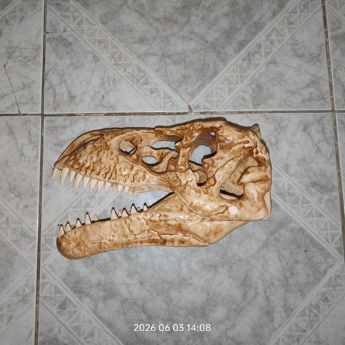T-Rex Dinosaur Skeleton used, incomplete parts from magazine