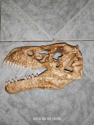 T-Rex Dinosaur Skeleton used, incomplete parts from magazine
