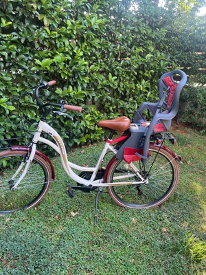 Sector city bike with child seat, aluminum frame
