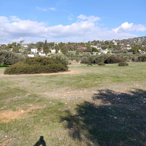 Land plot 9 acres in Vasilika Salamina, buildable, residential area