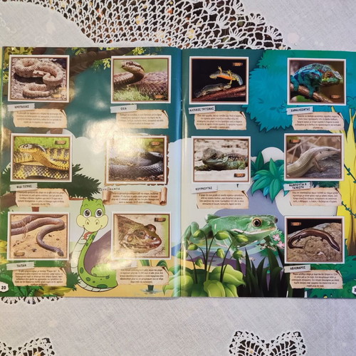 Jungle Sequel 3 Sticker Album like new by Carouzel