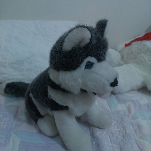 Plush Husky Dog Like New
