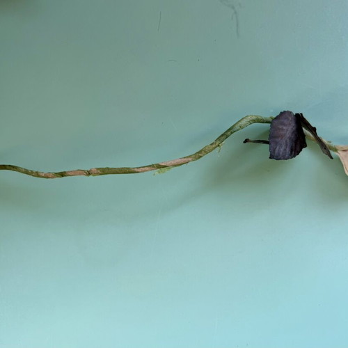 Artificial rose handmade decorative flower with dried leaves
