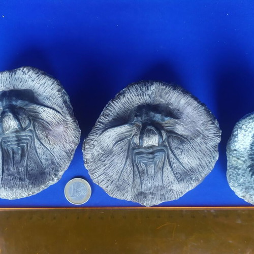 Trilobite display models set of 3, synthetic material, Moroccan