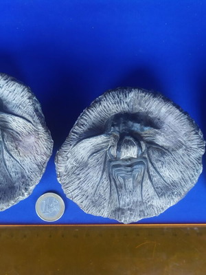 Trilobite display models set of 3, synthetic material, Moroccan