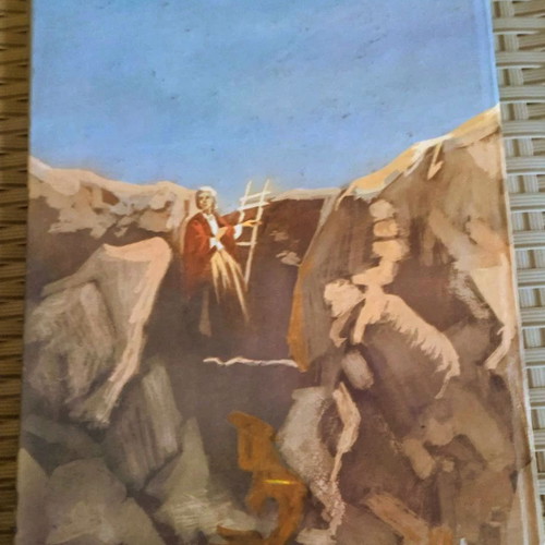 The Petromazeytis by Aime Giron book like new