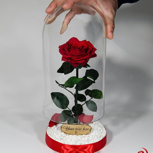 Red Eternal Rose in Large Glass Dome made to order