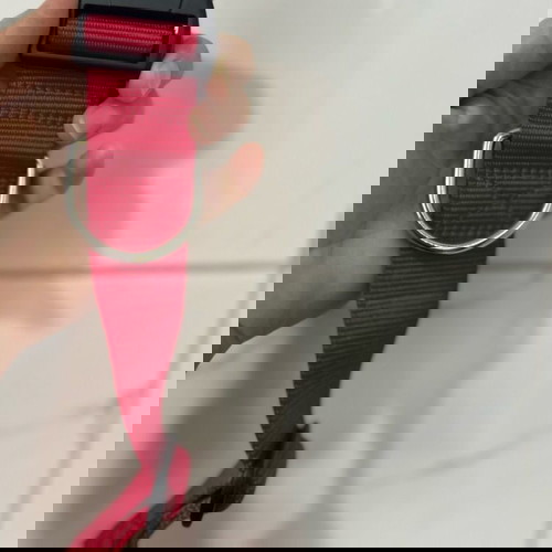 Немски нашийник нов за средни и едри породи