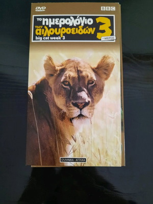 Box Set 6 VCD Big Cat Week 3 New
