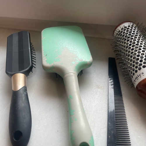 Collection of used combs and brushes