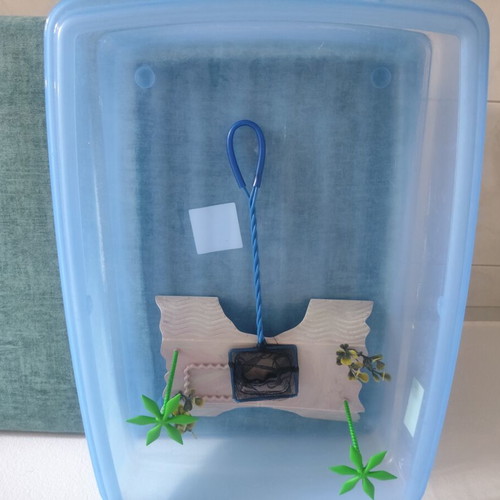 Georplast reptile aquarium 54x40x14cm with turtle habitat