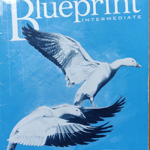 Blueprint Intermediate - Workbook used, Longman