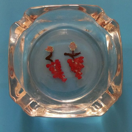 Handmade ashtray with grape design new
