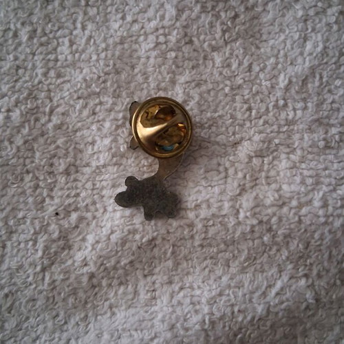 Dolphin Pin new