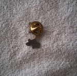 Dolphin Pin new