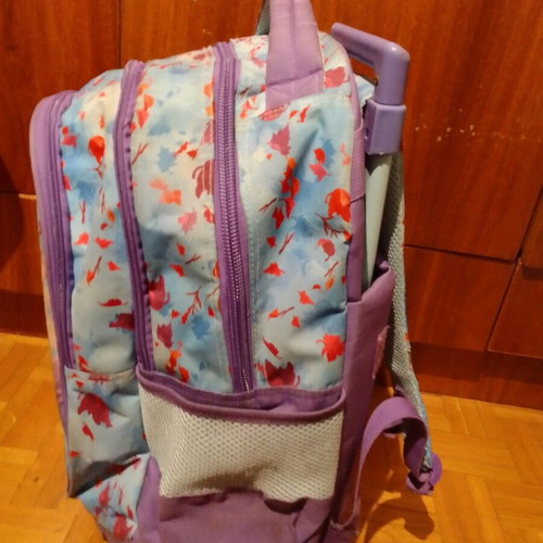 Frozen school bag with trolley wheels used