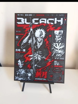 Bleach Ichigo Canvas New, Plastic