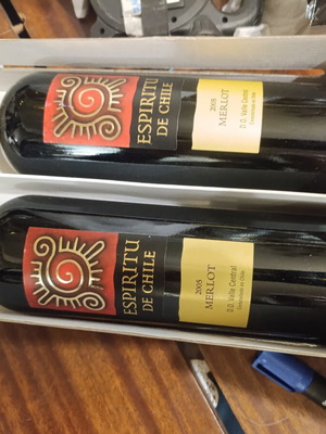 Espiritu de Chile Merlot red wine set vintage 2005, 2 bottles
