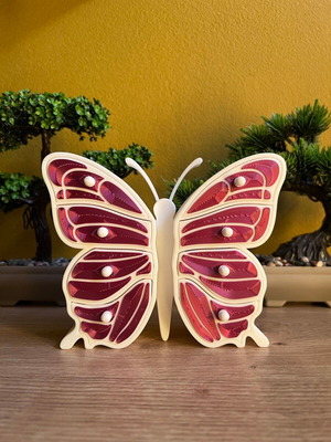 Handmade Butterfly Jewelry Organizer New, 3D Printed Premium